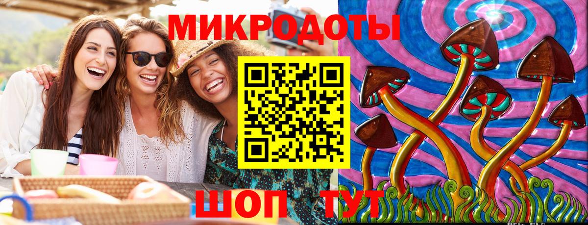 Галлюциногенные грибы Psilocybe Белогорск