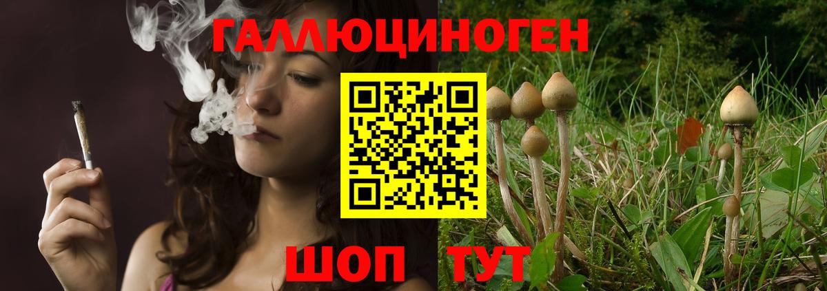 Белогорск  Галлюциногенные грибы GOLDEN TEACHER  Вход с VPN 